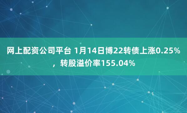 网上配资公司平台 1月14日博22转债上涨0.25%，转股溢价率155.04%