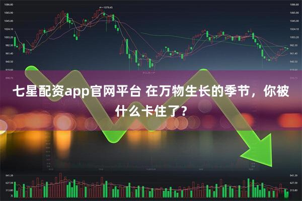 七星配资app官网平台 在万物生长的季节，你被什么卡住了？