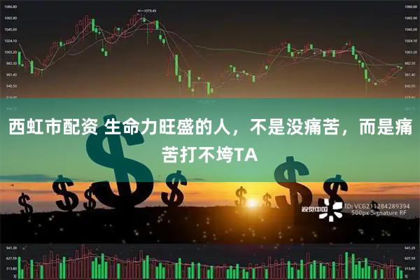西虹市配资 生命力旺盛的人,不是没痛苦,而是痛苦打不垮TA